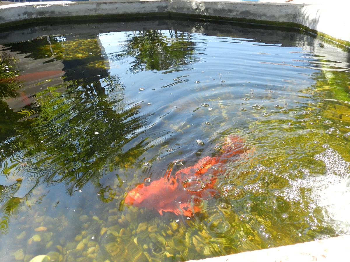 Paradise Inn Hotel Catanduva  Ngoại thất bức ảnh